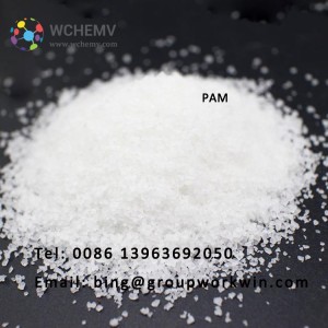 PAM Chemical Powder Water Treatment