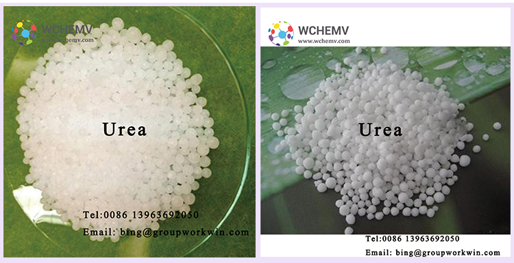 Urea8.jpg