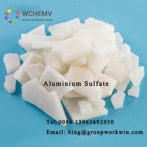 Best Price Aluminium Sulfate flake from China
