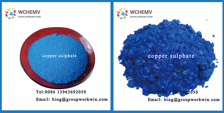 copper sulphate7.jpg