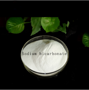 Factory Price China Bulk Sodium Bicarbonate Food Grade