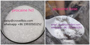 Procaine hcl  (wickr : daisylang)