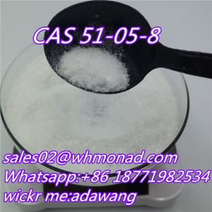 Supply Procaine Hydrochloride / Procaine HCl Supplier CAS 51-05-8 for Local Anesthetic